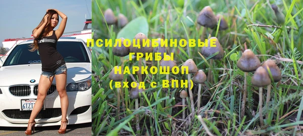 спайс Инта