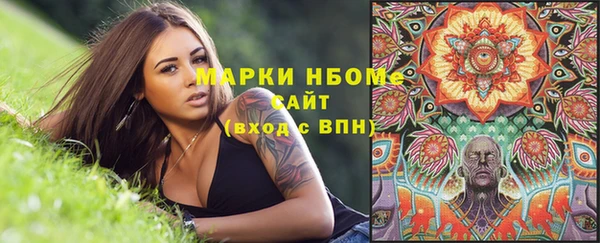 СК Инсар