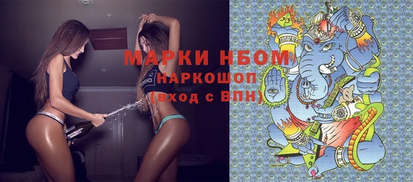 спайс Инта