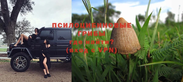 спайс Инта
