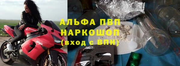 СК Инсар